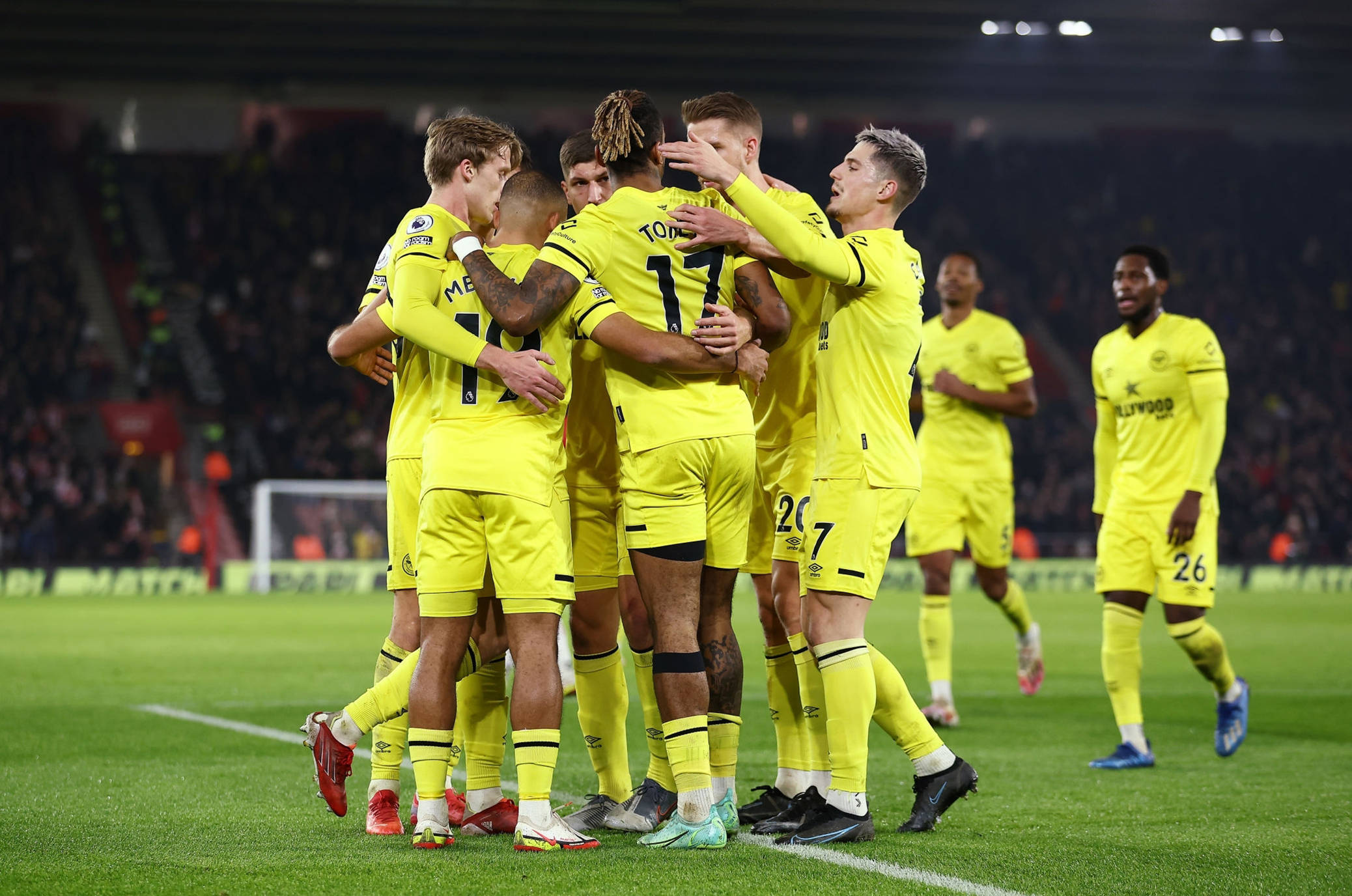 南宁国际马 南宁国际马